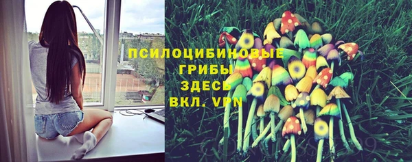 винт Усмань