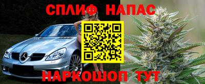 гашик Бузулук