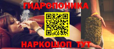 гашик Бузулук