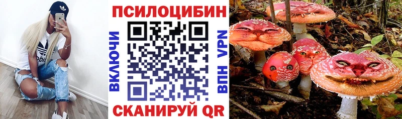 Псилоцибиновые грибы GOLDEN TEACHER  Шуя 