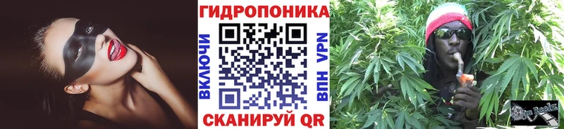 Конопля VHQ  Шуя 